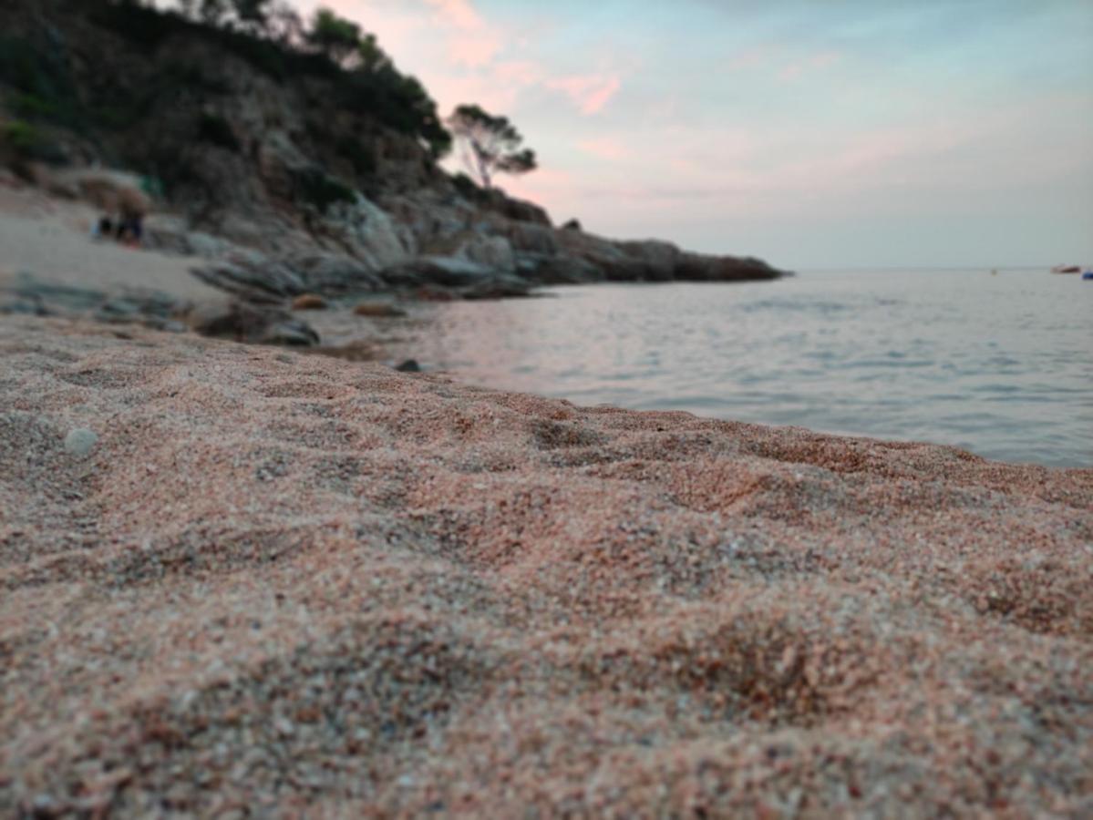 Apartamento Con Piscina - Tossa - Magnificas Vistas Al Mar Girona Eksteriør billede