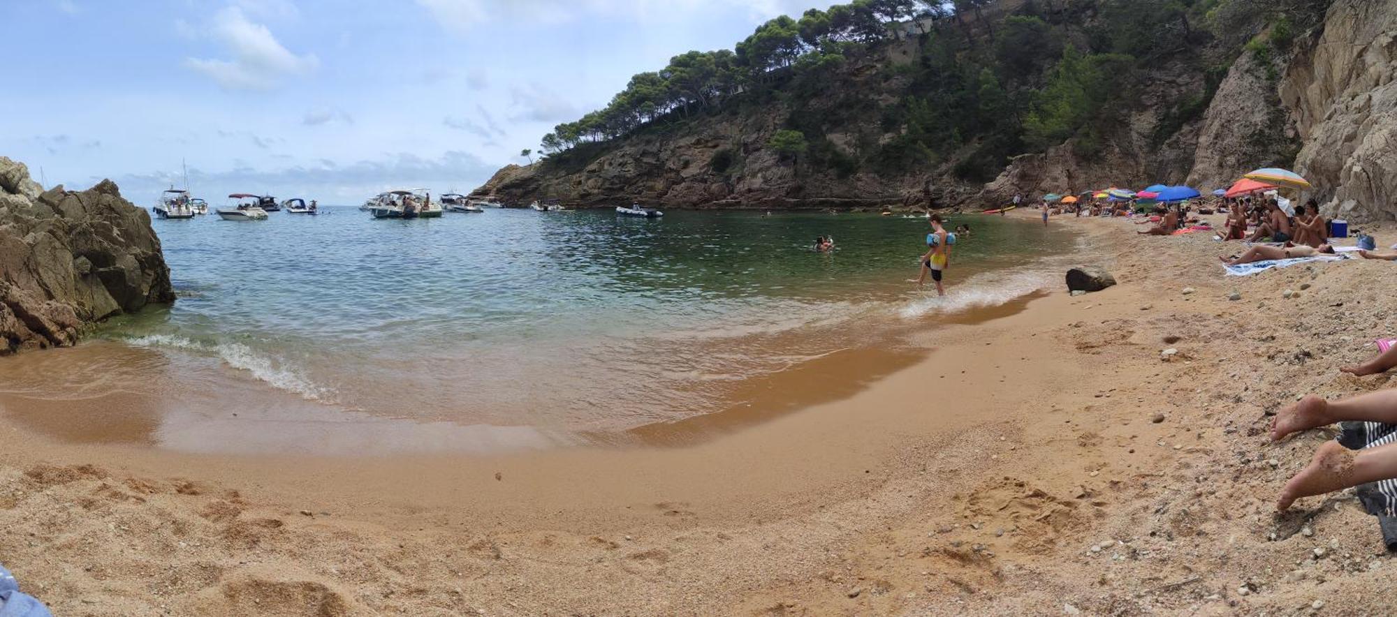 Apartamento Con Piscina - Tossa - Magnificas Vistas Al Mar Girona Eksteriør billede
